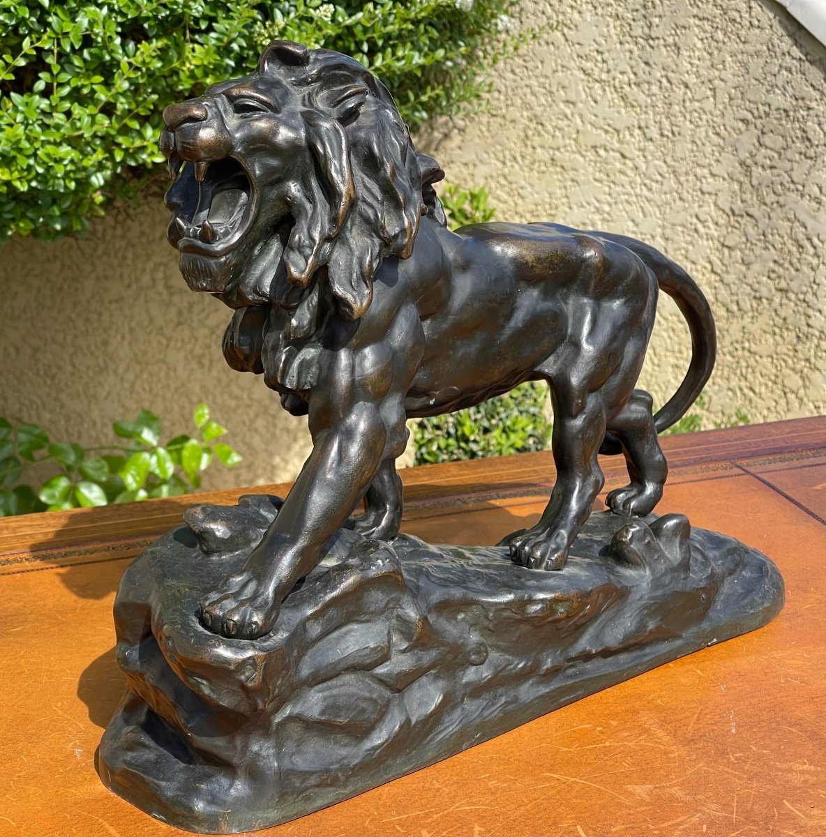 Bronze, Roaring Lion-photo-5