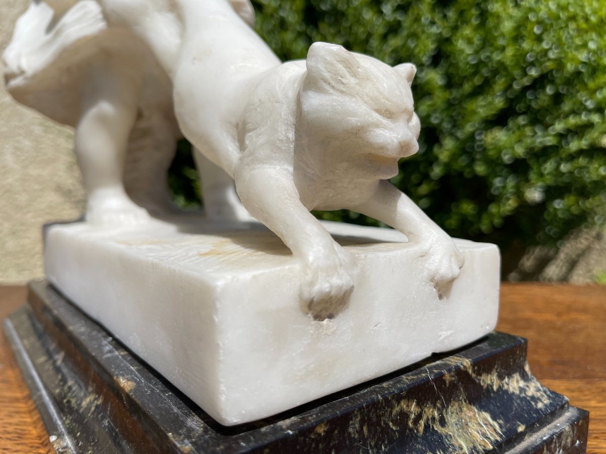 Juan Clara - Young Girl And The Cat,  Carrara Marble-photo-1