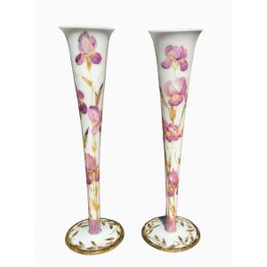 Pair Of Opaline Vases With Irises