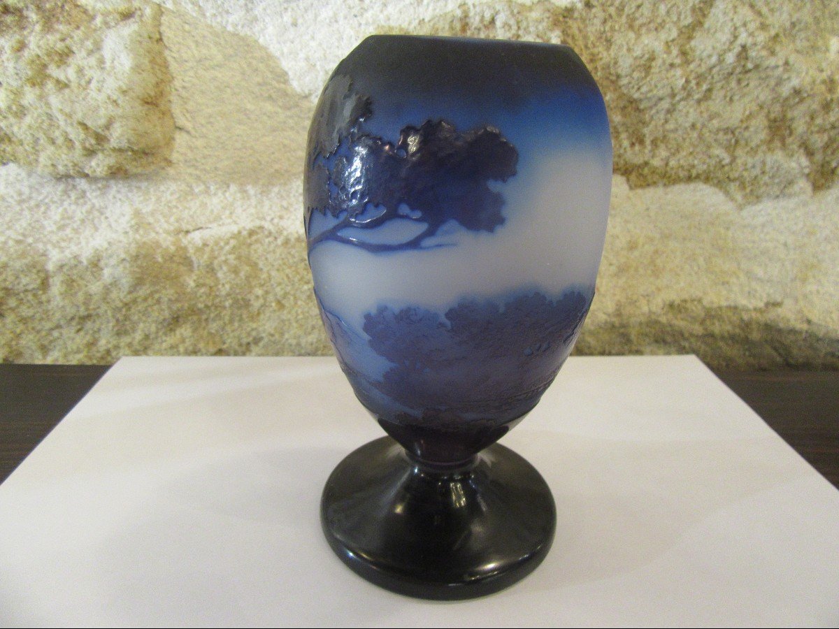 Gallé Rare Vase Bleu-photo-3