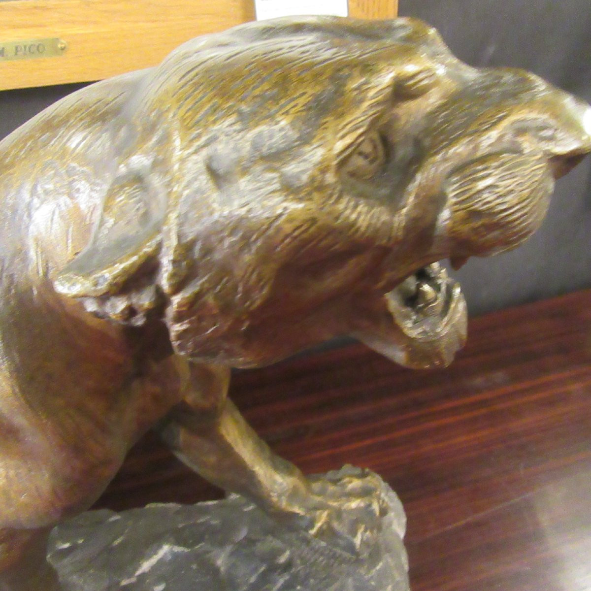 Cartier Thomas - Bronze Roaring Lioness-photo-4