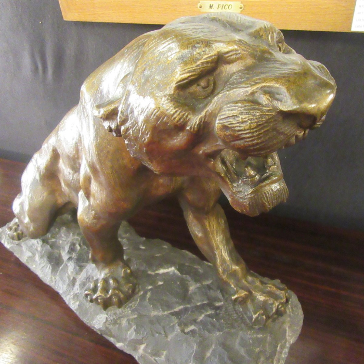 Cartier Thomas - Bronze Roaring Lioness-photo-2