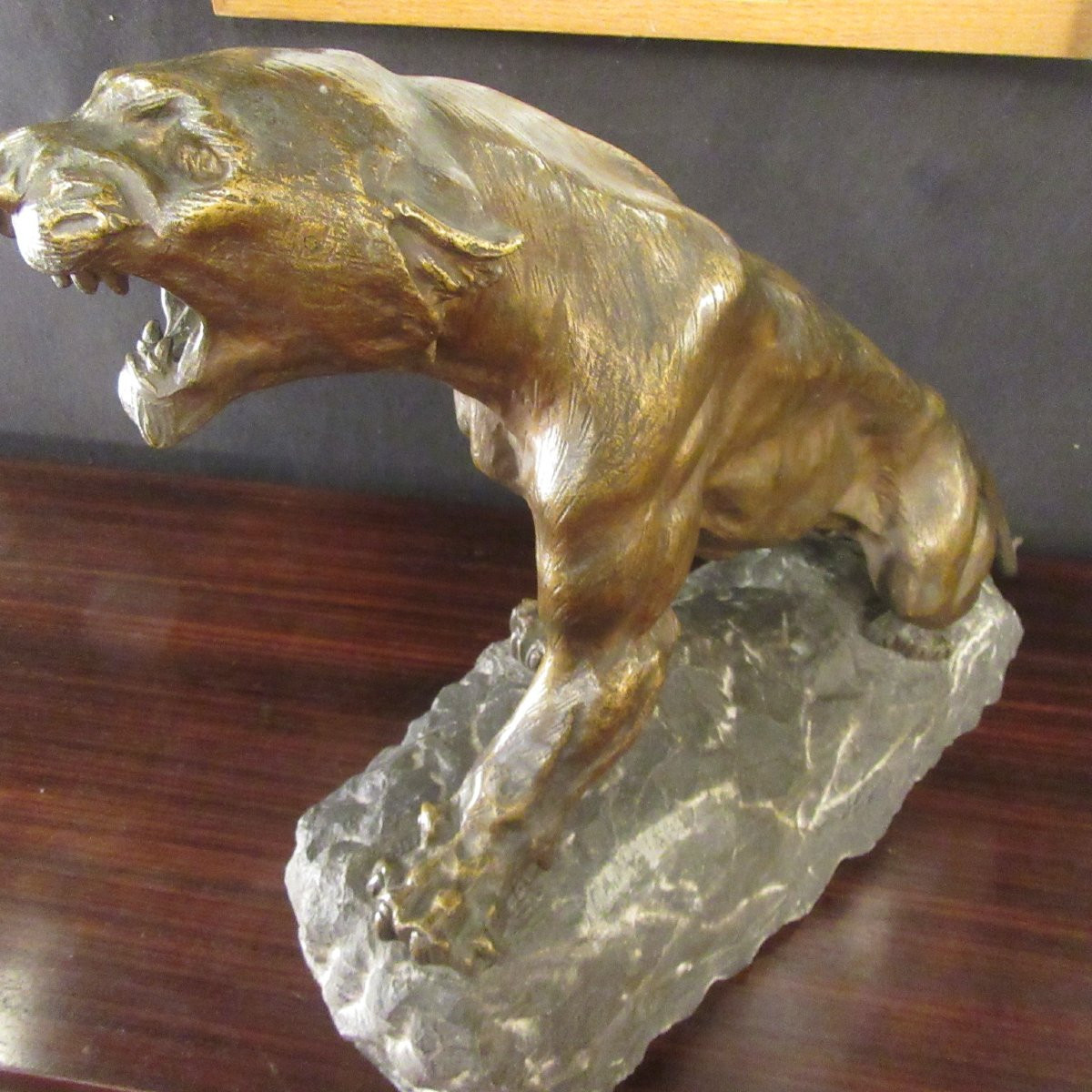 Cartier Thomas - Bronze Roaring Lioness-photo-5