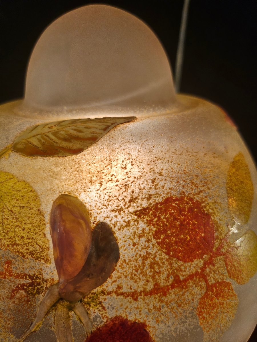 Lampe Daum en verre multicouvhes et applications -photo-2