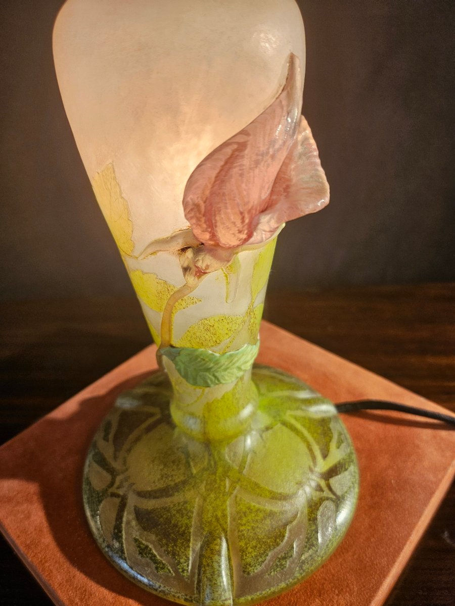 Lampe Daum en verre multicouvhes et applications -photo-4