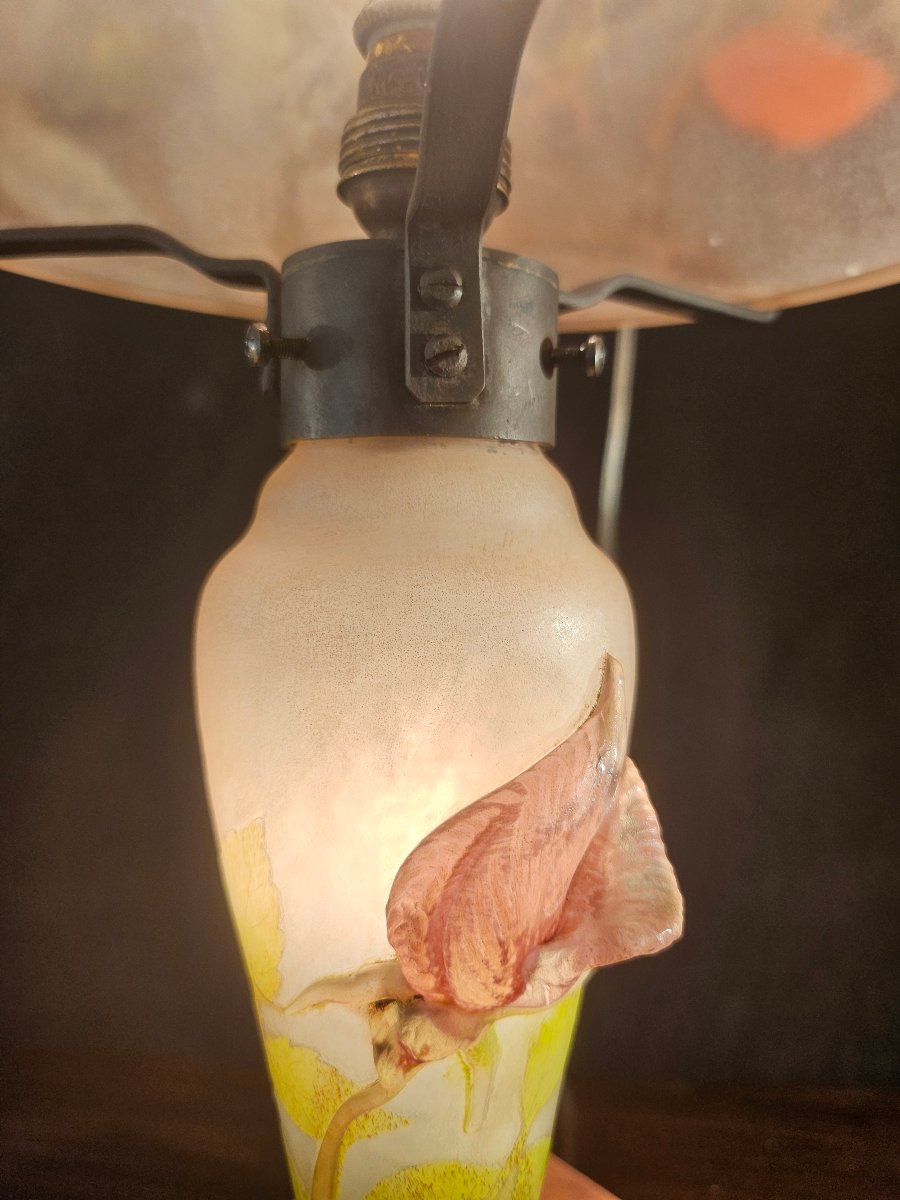 Lampe Daum en verre multicouvhes et applications -photo-3