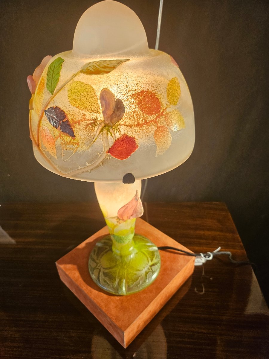 Lampe Daum en verre multicouvhes et applications -photo-5