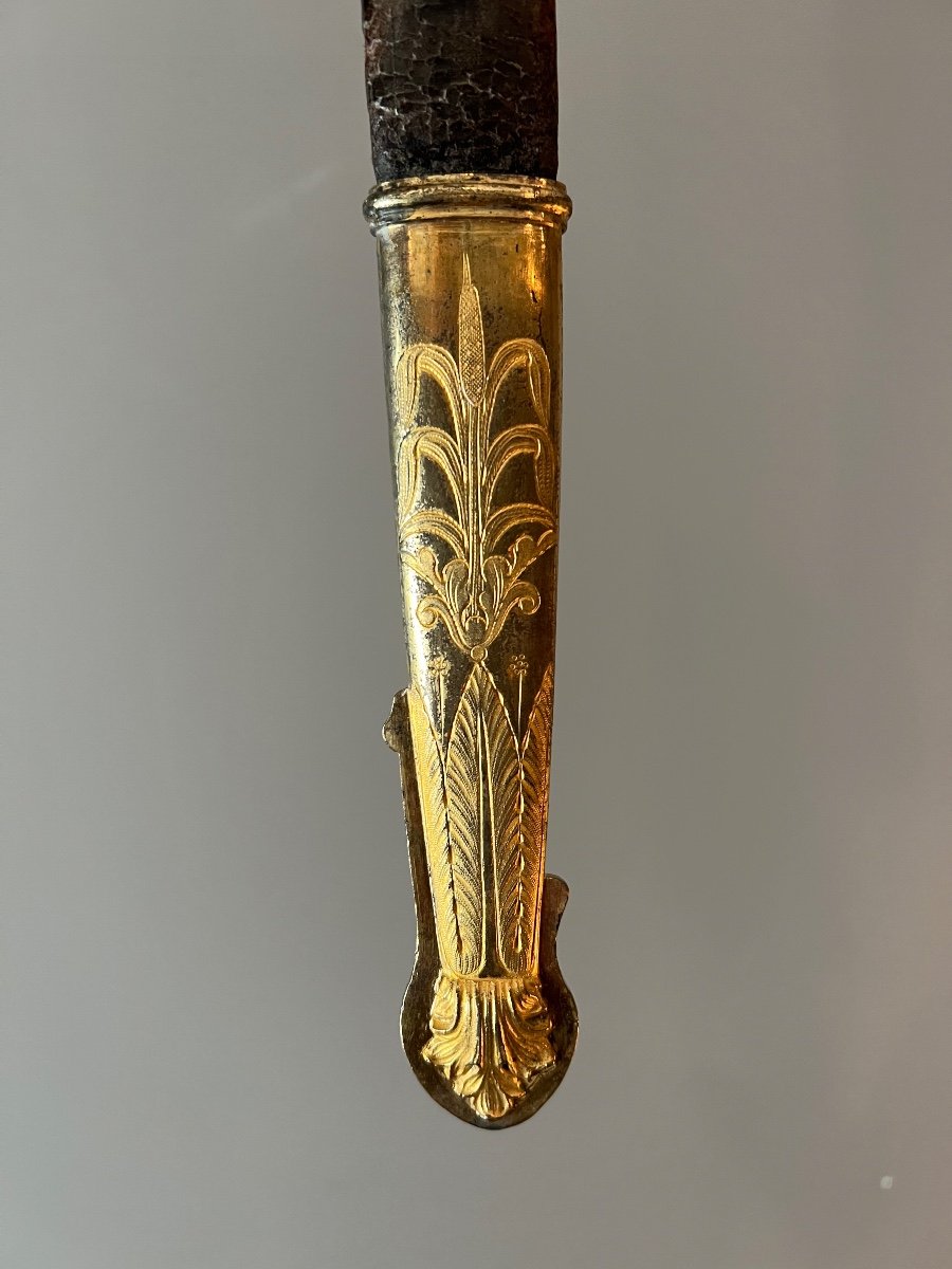 Naval Officer's Saber, Luxury Model, Louis-phillipe Period, France.-photo-4