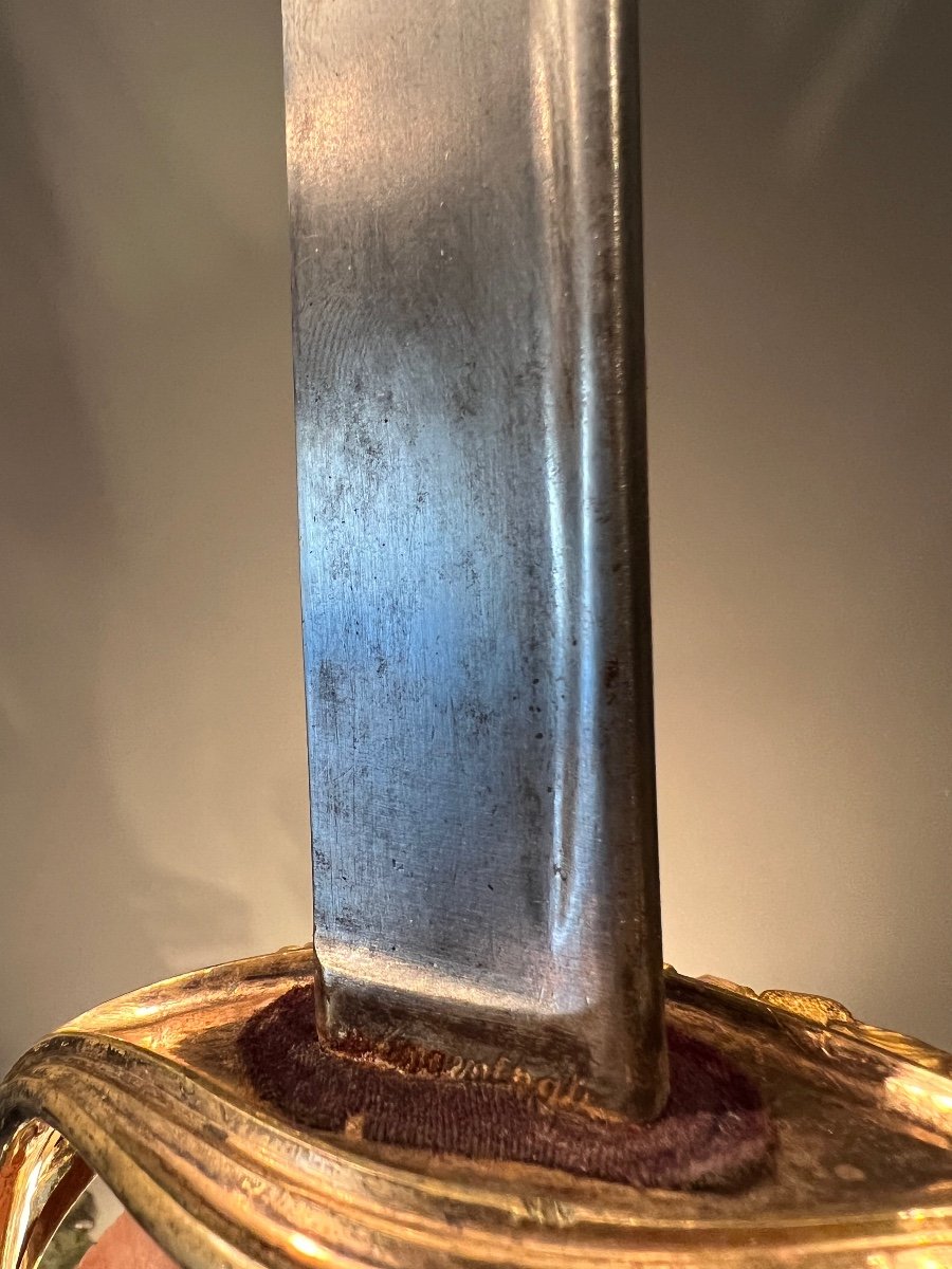 Naval Officer's Saber, Luxury Model, Louis-phillipe Period, France.-photo-7
