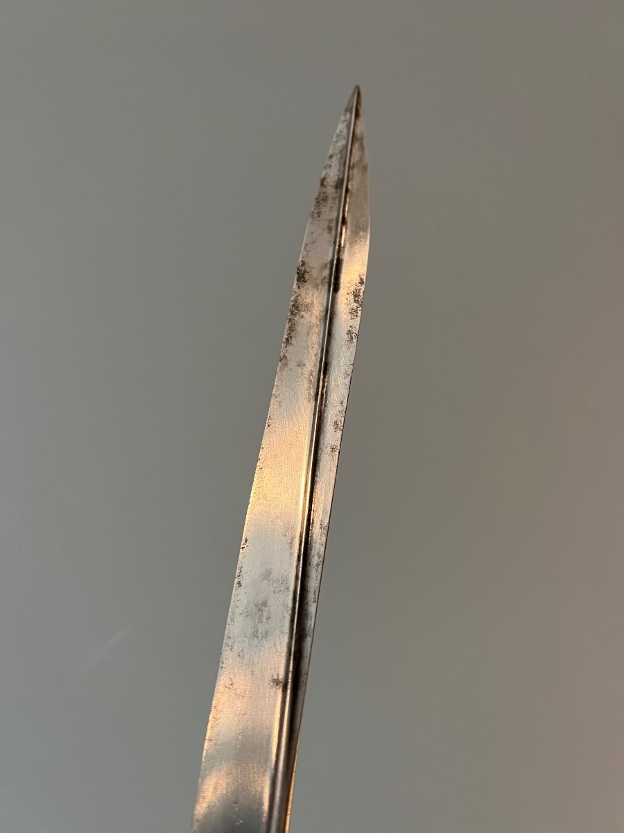 Naval Officer's Saber, Luxury Model, Louis-phillipe Period, France.-photo-8