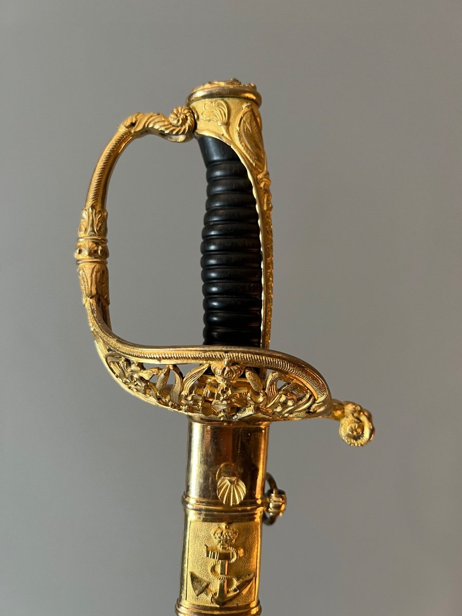 Naval Officer's Saber, Luxury Model, Louis-phillipe Period, France.