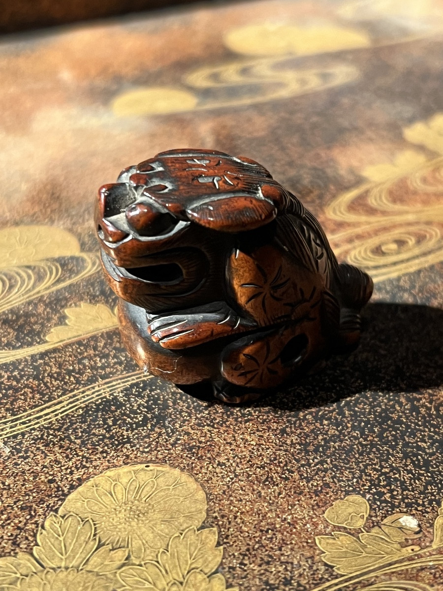 Netsuké en buis, représentant un Shishi, signé Gyokuzan, époque Meiji, ca. 1865.