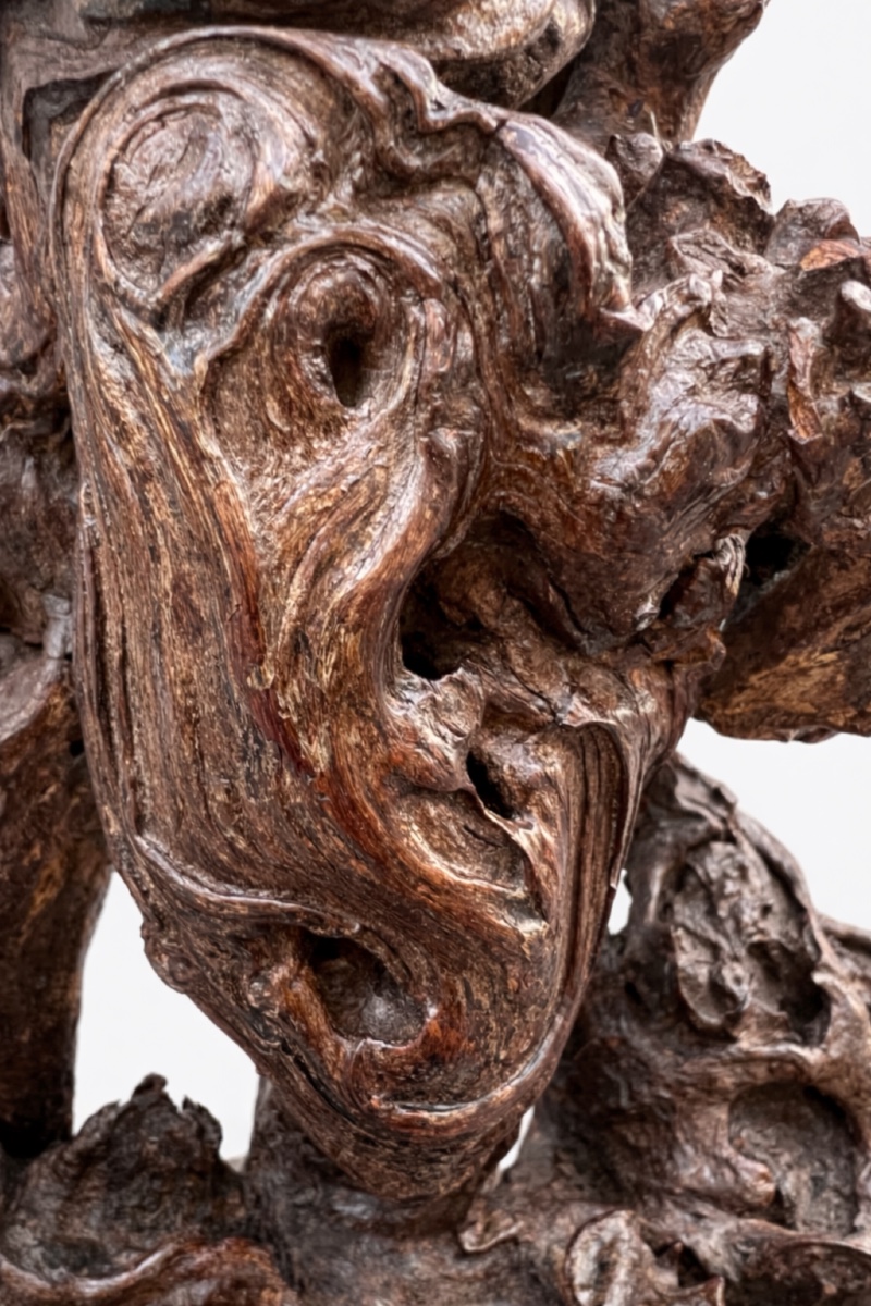 Objet de contemplation (scholar root ou gongshi), bois, Chine, epoque Qing.-photo-1
