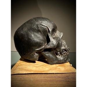 Vanity, Skull In Terracotta Patin, By Goldscheider In Vienna, Second Half 19th.