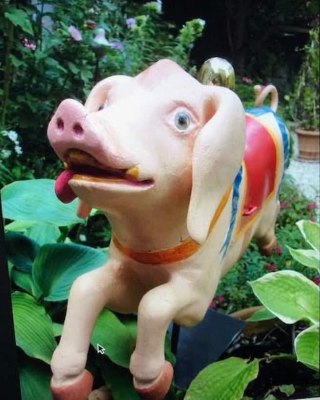 Cochon   De Manege-photo-2