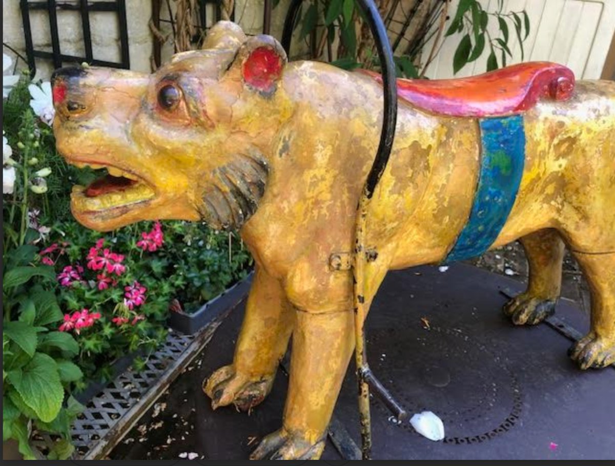 LIONNE de Manege-photo-3