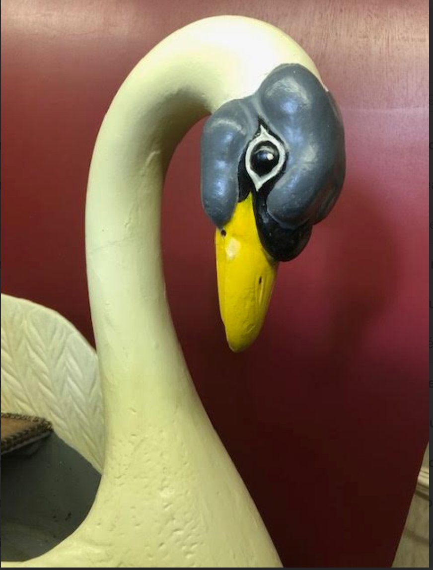 Swan   By Devos-photo-2