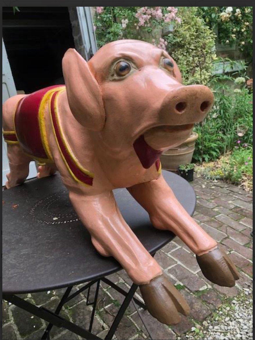 Pig From Manege-photo-3