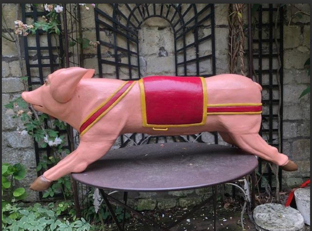 Pig From Manege