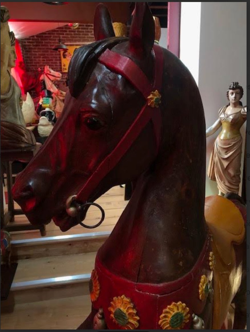 Bayol Riding School Horse  -photo-4