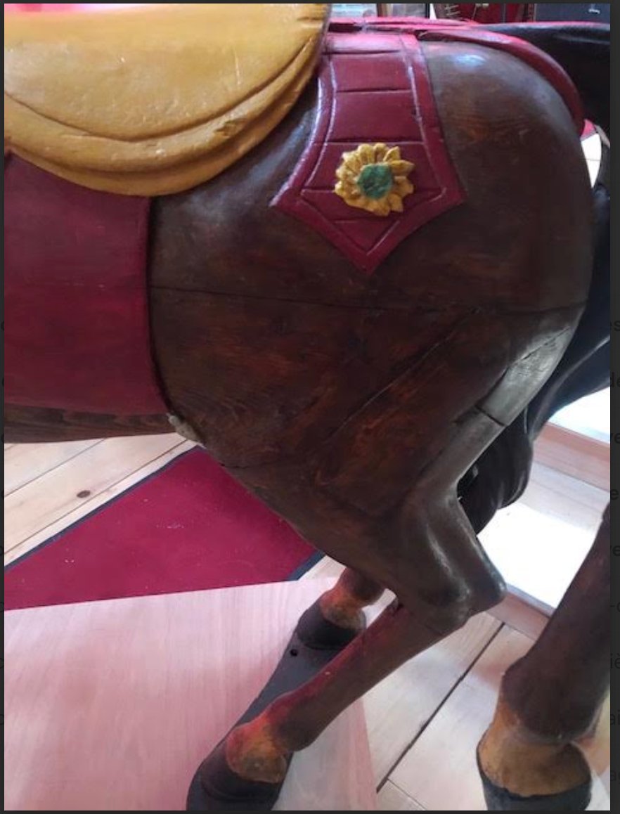 Bayol Riding School Horse  -photo-2