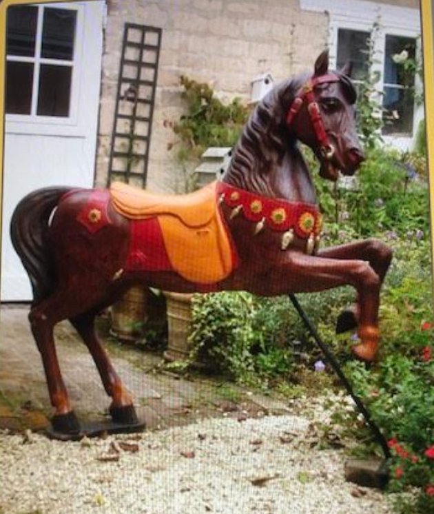 Bayol Riding School Horse  