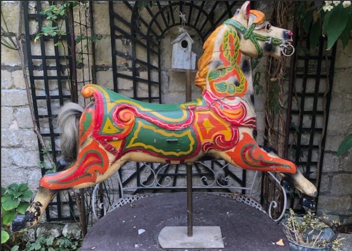 Cheval de  Manege  sauteur  Anglais  Anderson-photo-2