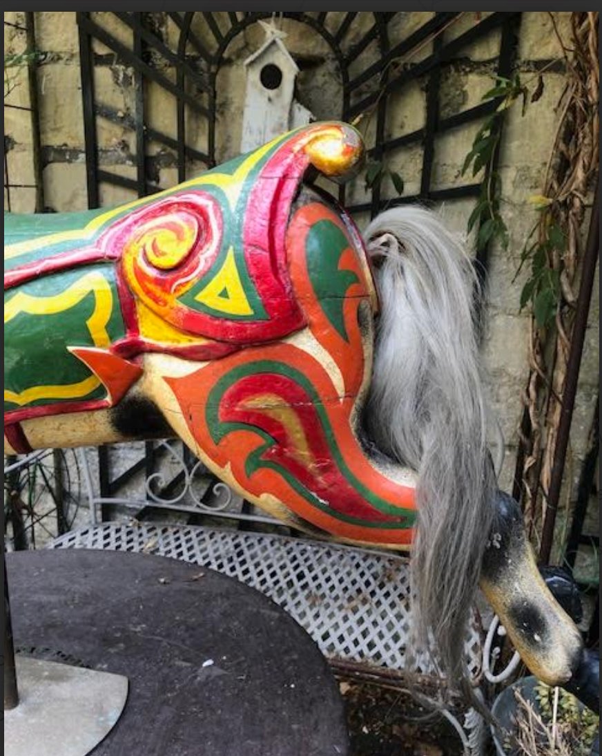 Cheval de  Manege  sauteur  Anglais  Anderson-photo-4