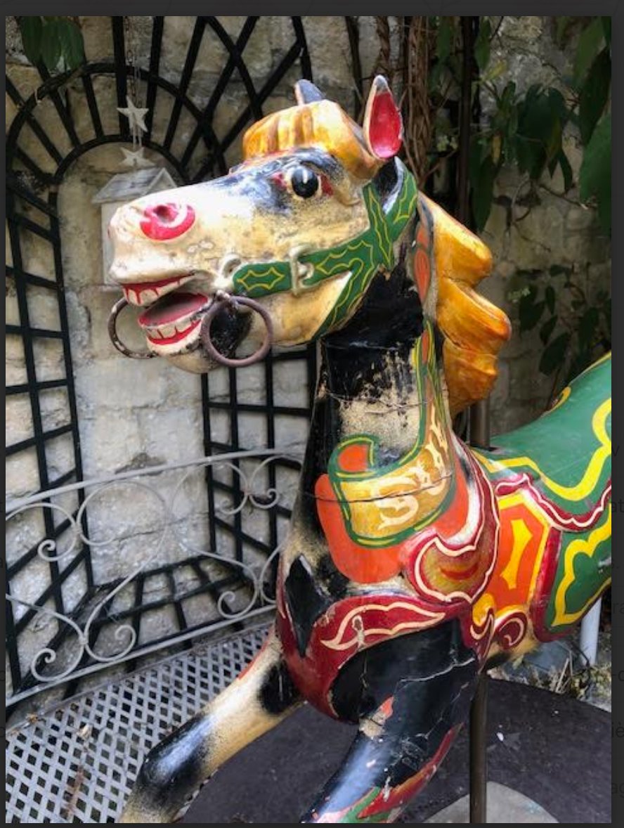 Cheval de  Manege  sauteur  Anglais  Anderson-photo-2