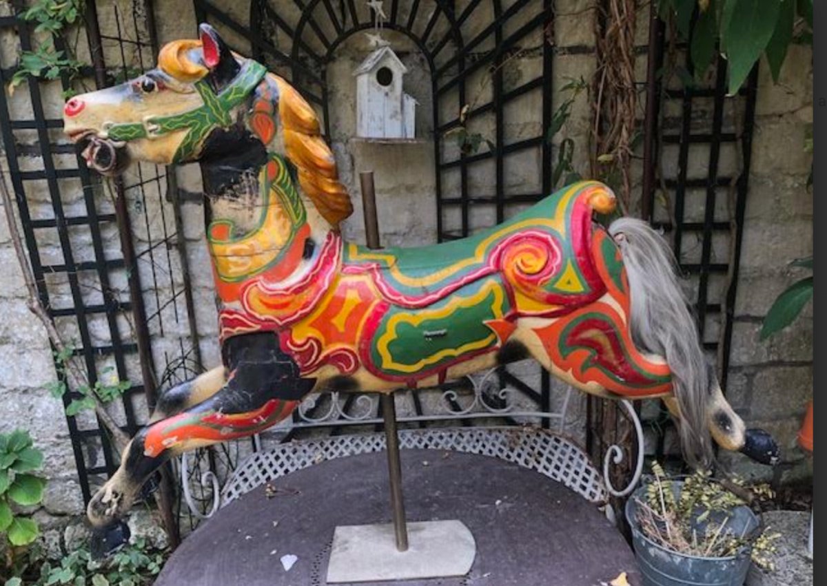 Cheval de  Manege  sauteur  Anglais  Anderson-photo-3