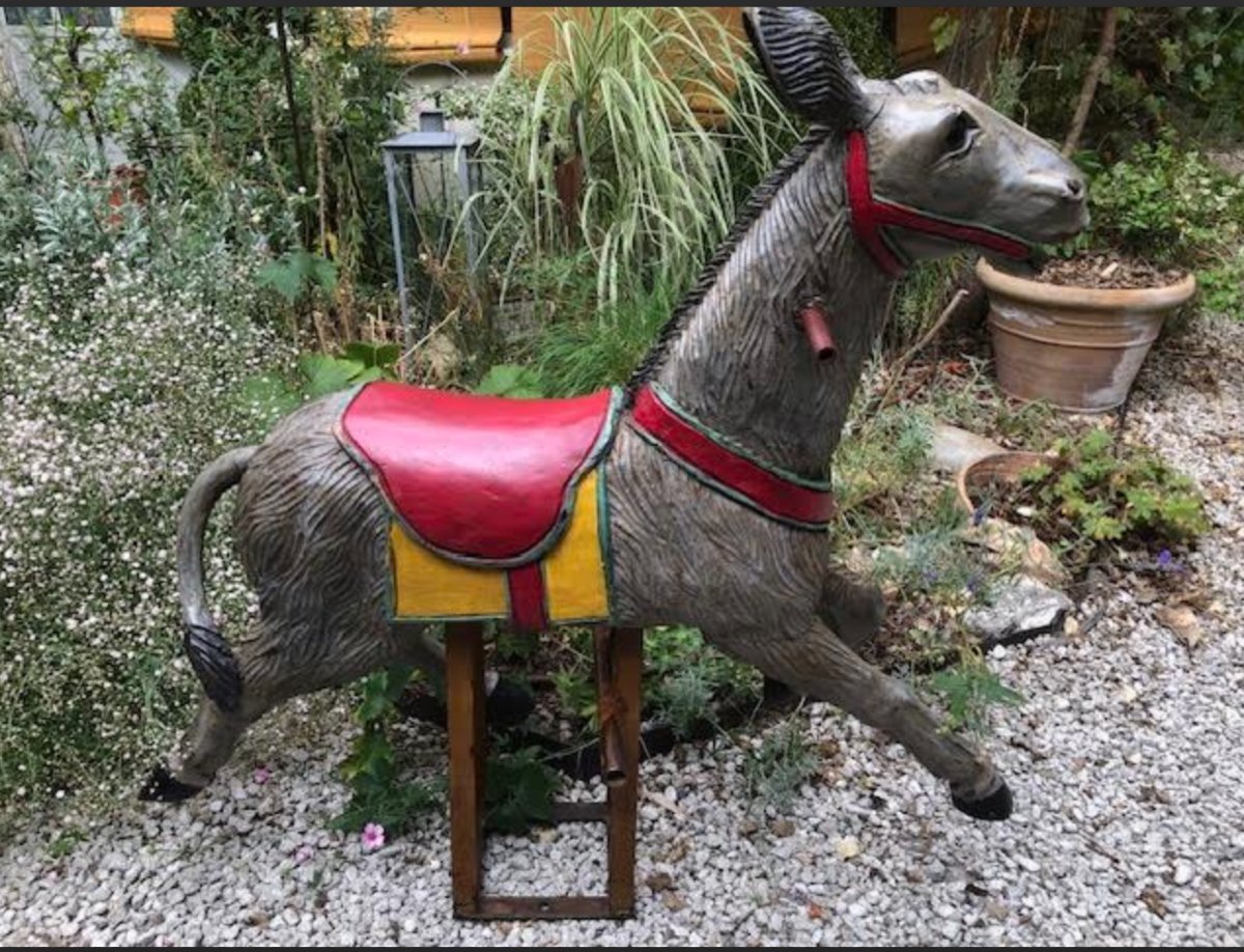ANE de Manege-photo-2