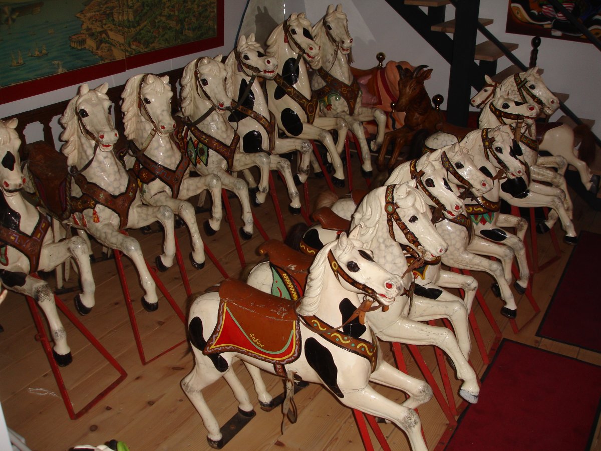 Handsome Manege Horse Set