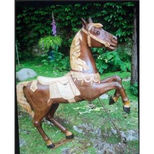 Bayol Riding School Horse Curiosity