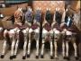 1829038-6aba746feacf6.jpg