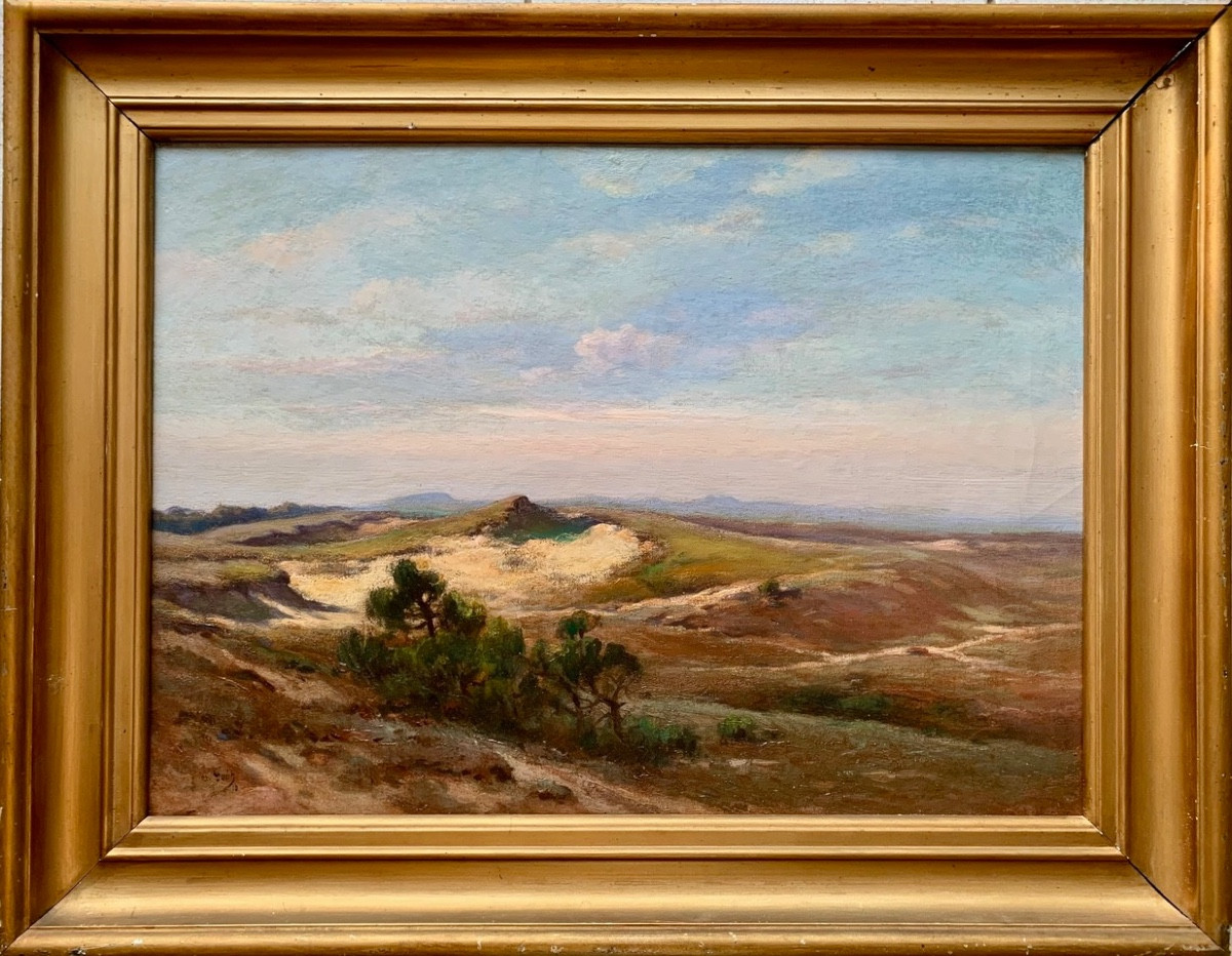 HSP Marius Gueit - Paysage Côte Basque