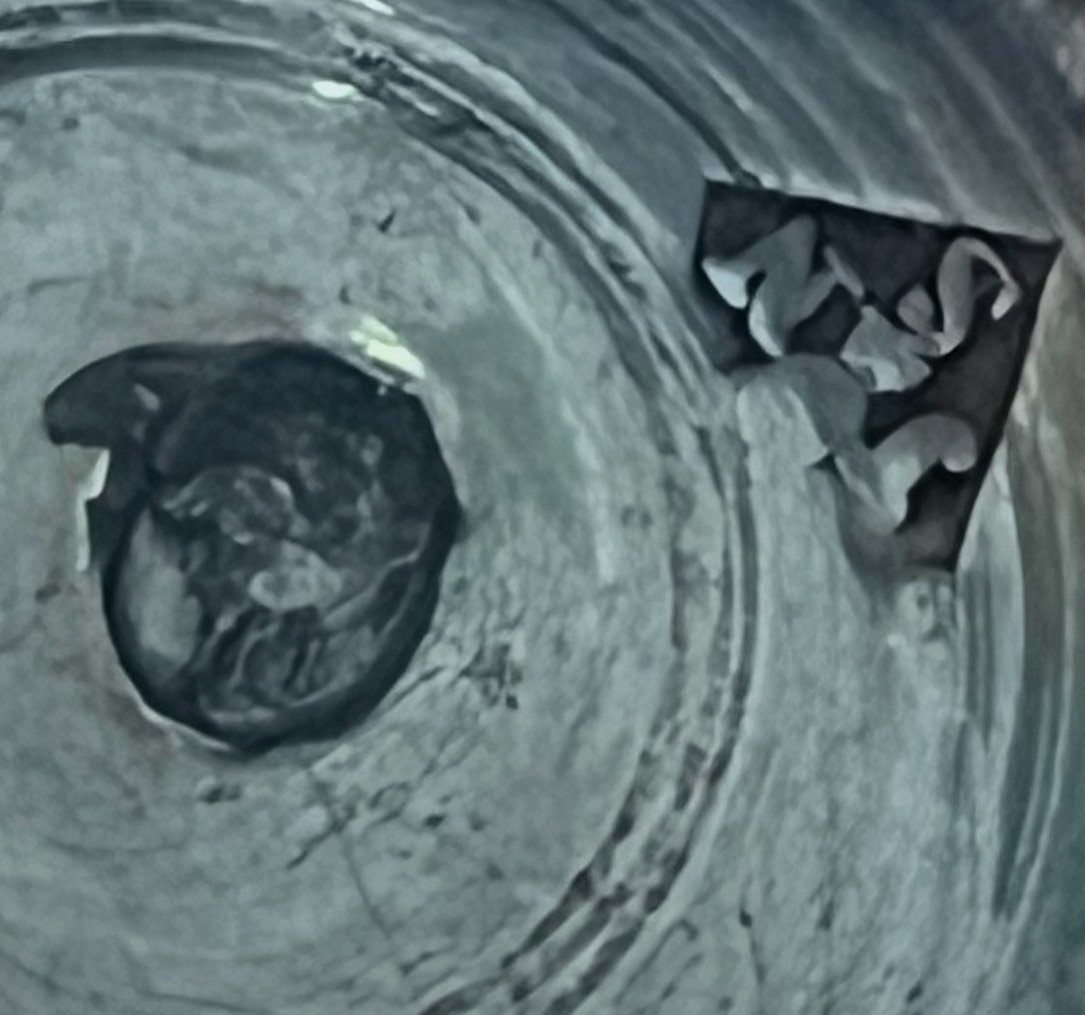 Timbale tulipe en argent massif de la fin XVIIIe – début XIXe-photo-3