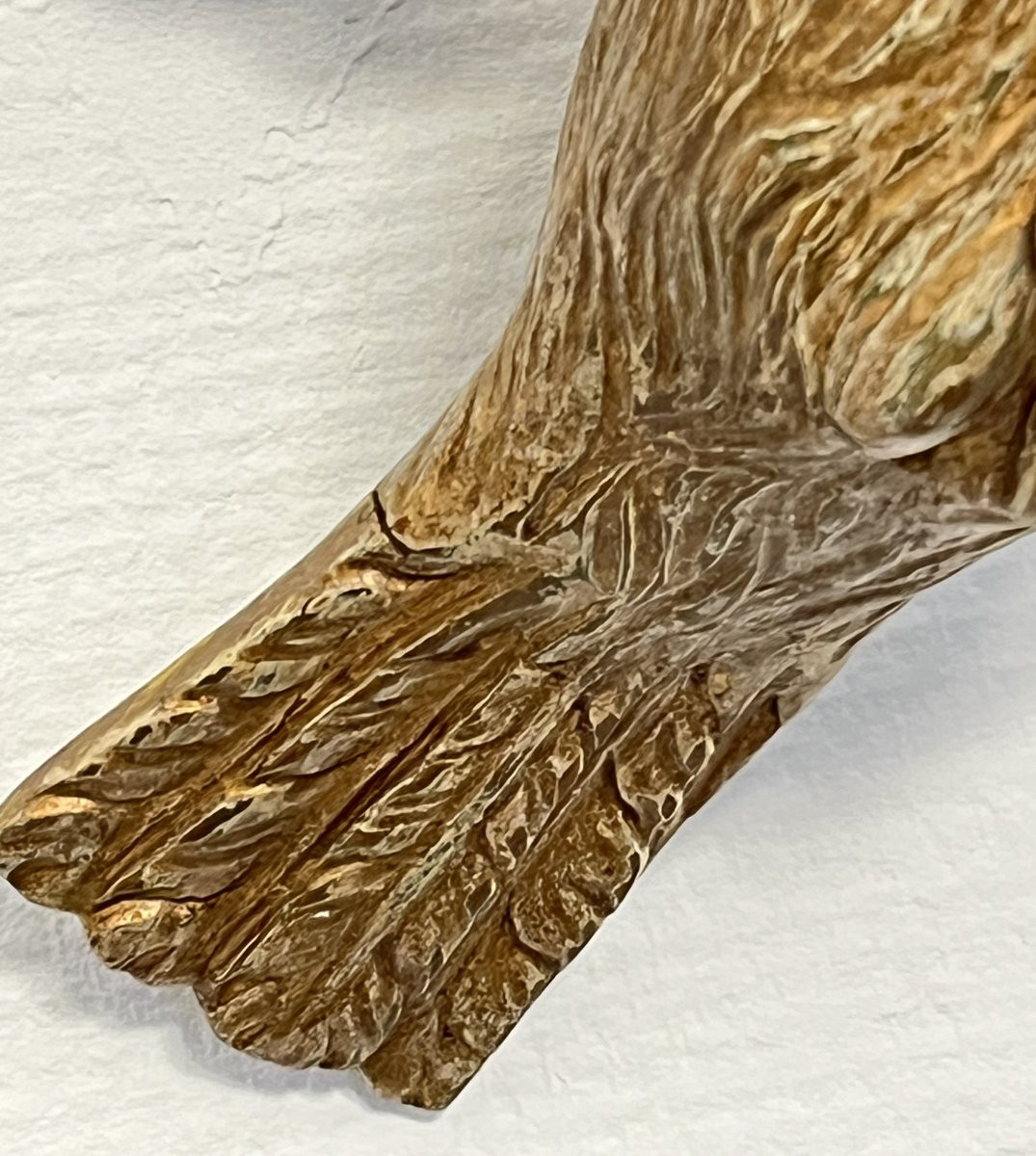 Carved Wooden Dove, Holy Spirit, 18th Century -photo-4