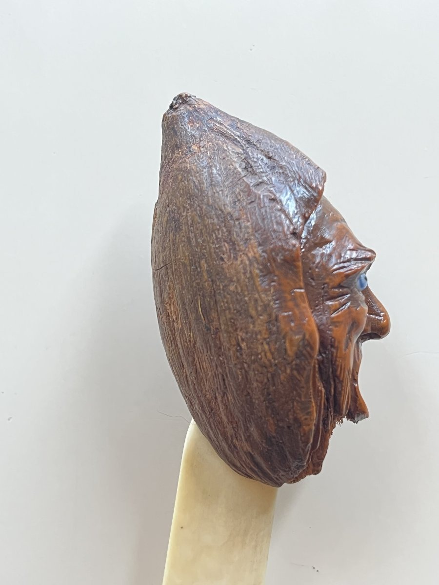 Rare Letter Opener With A Carved Corozo Handle—late 19th Century-photo-5
