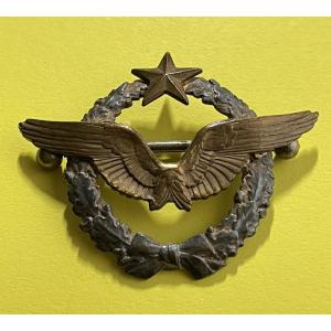 French Pilot's License 