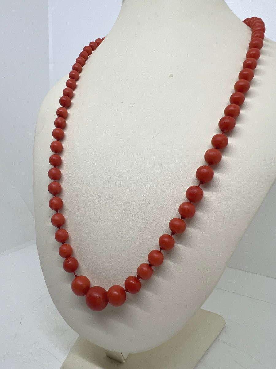Italy XX Sec Red Corail-photo-2