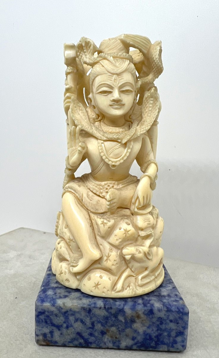 India XX Sec -photo-2