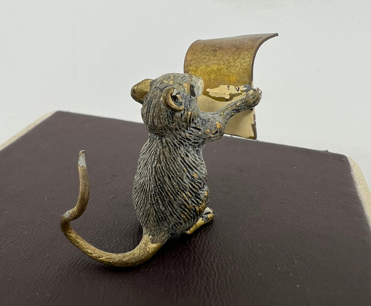 Franz Bergman 1861-1936 bronze-photo-1