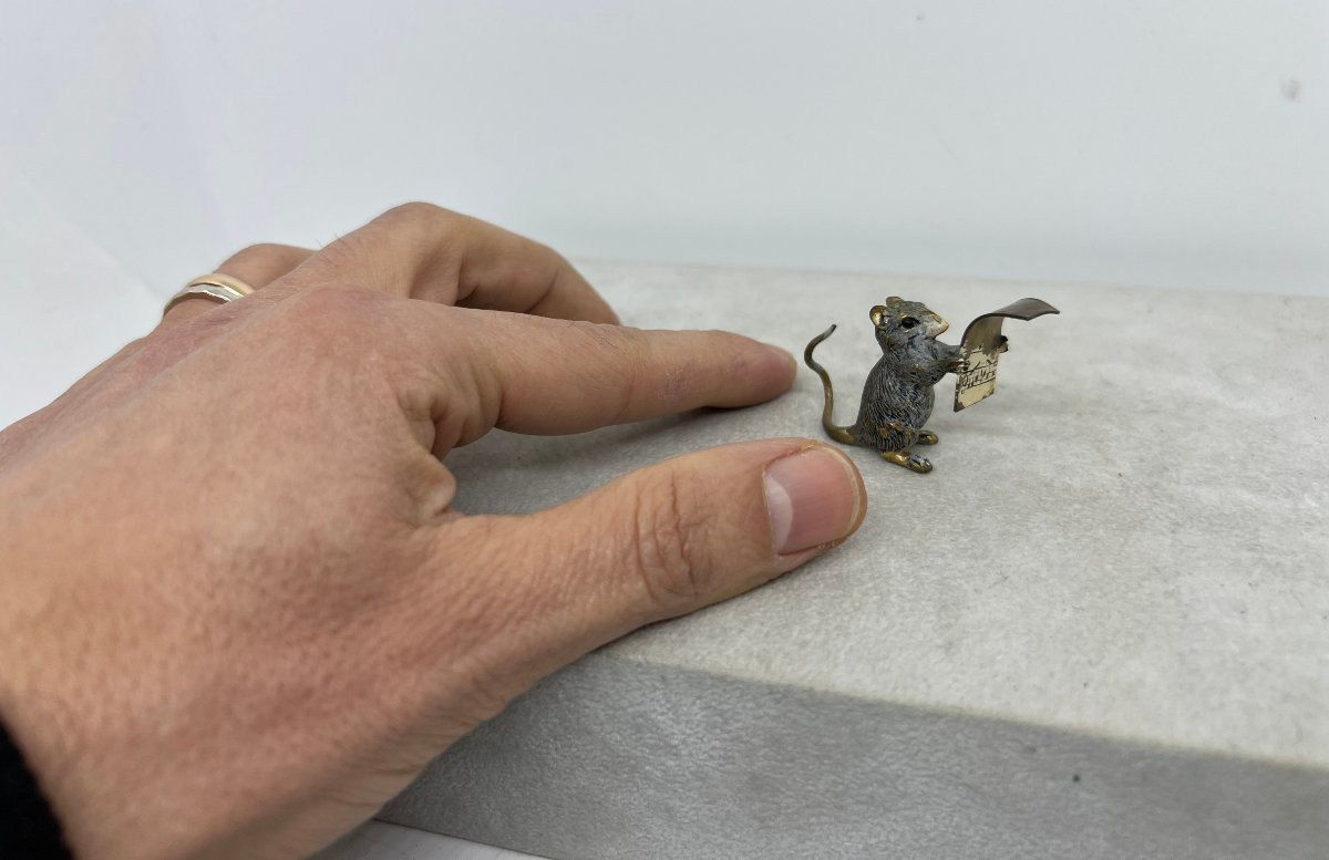 Franz Bergman 1861-1936 bronze-photo-6