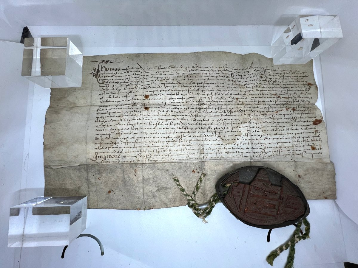 Manuscript Of Thomas Wolsey 1525-photo-1