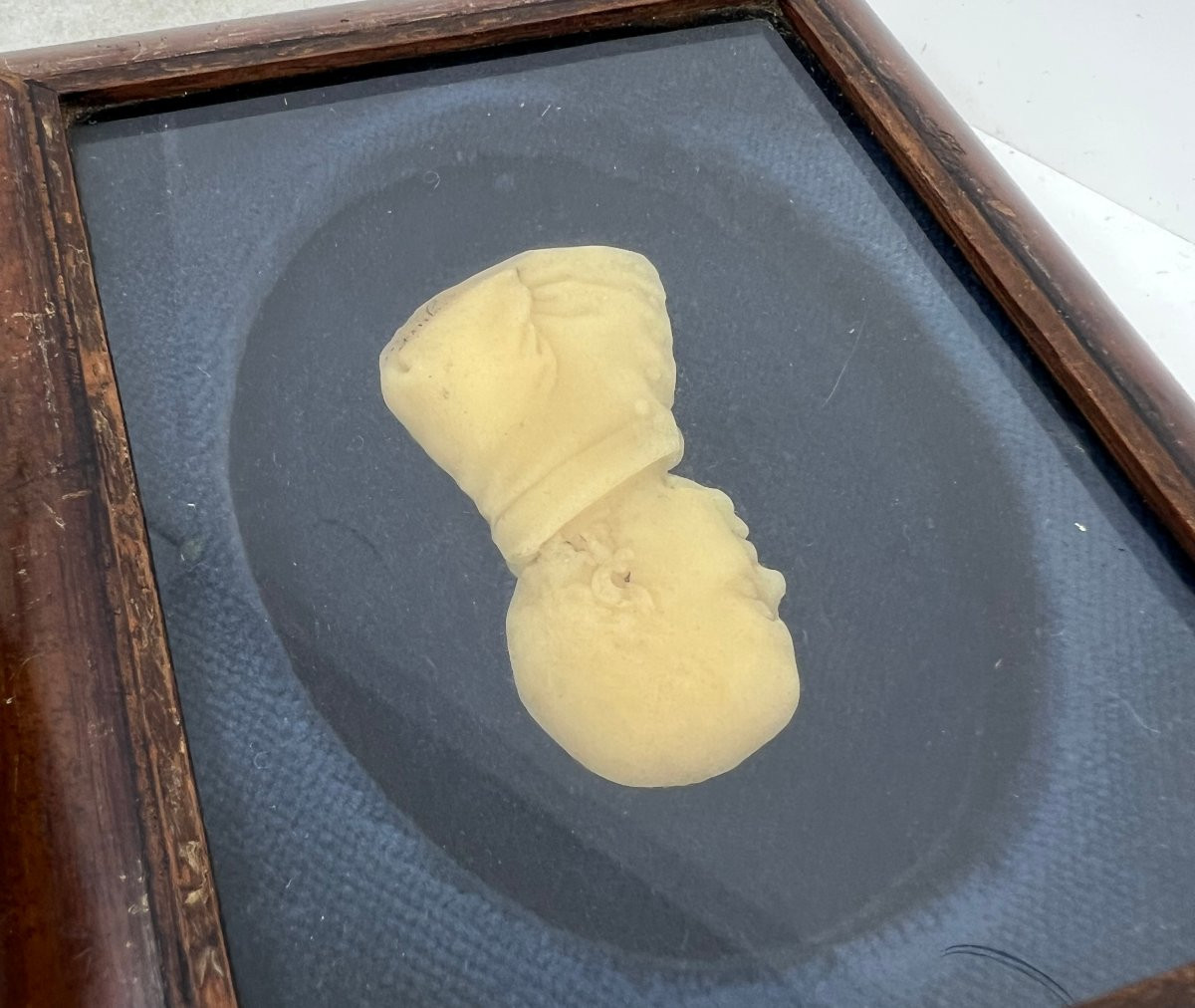 Profile homme en cire XIX sec.-photo-4