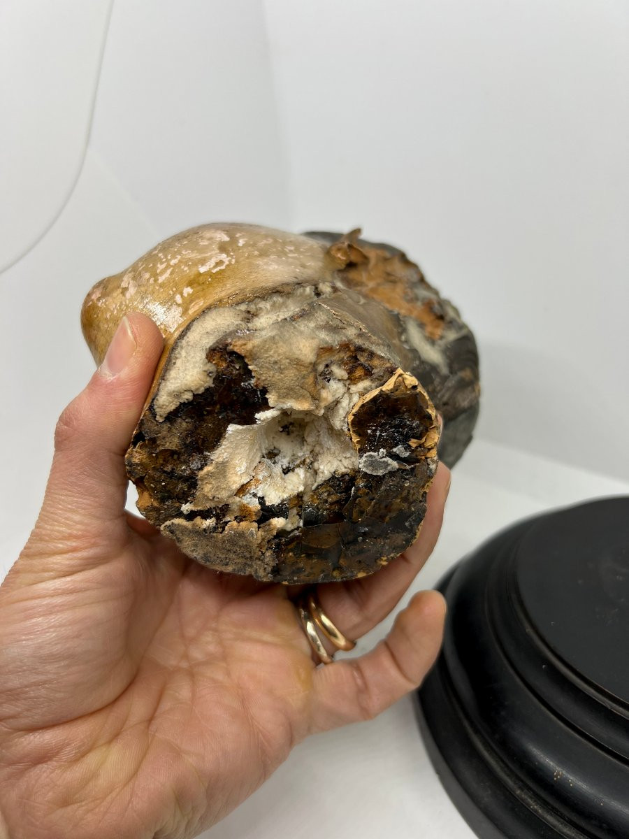 Naples End Of XVII Sec -photo-7