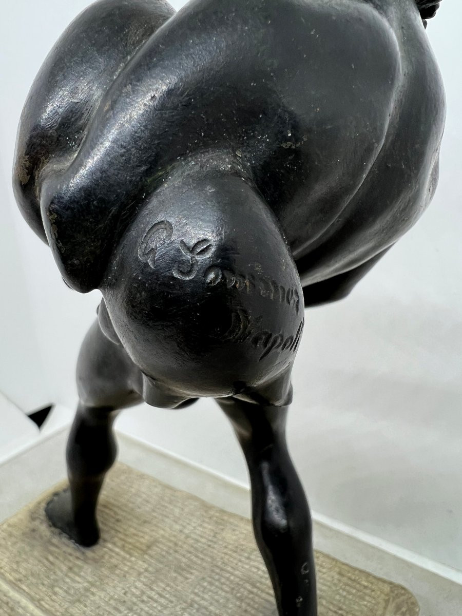 Naples XIX Sec. G.sommer-photo-4