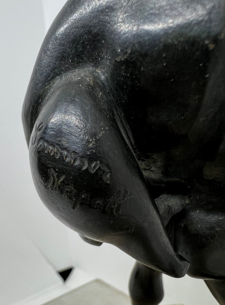 Naples XIX Sec. G.sommer-photo-1