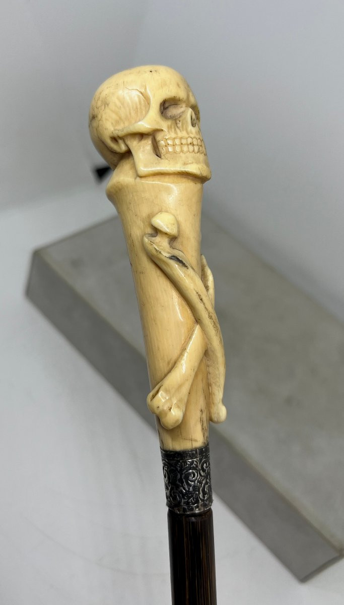 Animated Stick-photo-3