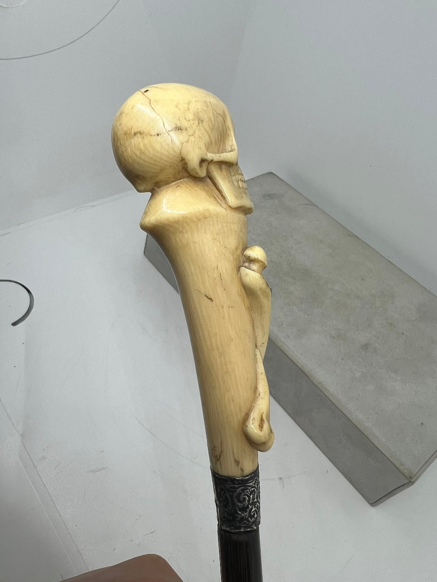 Animated Stick-photo-1